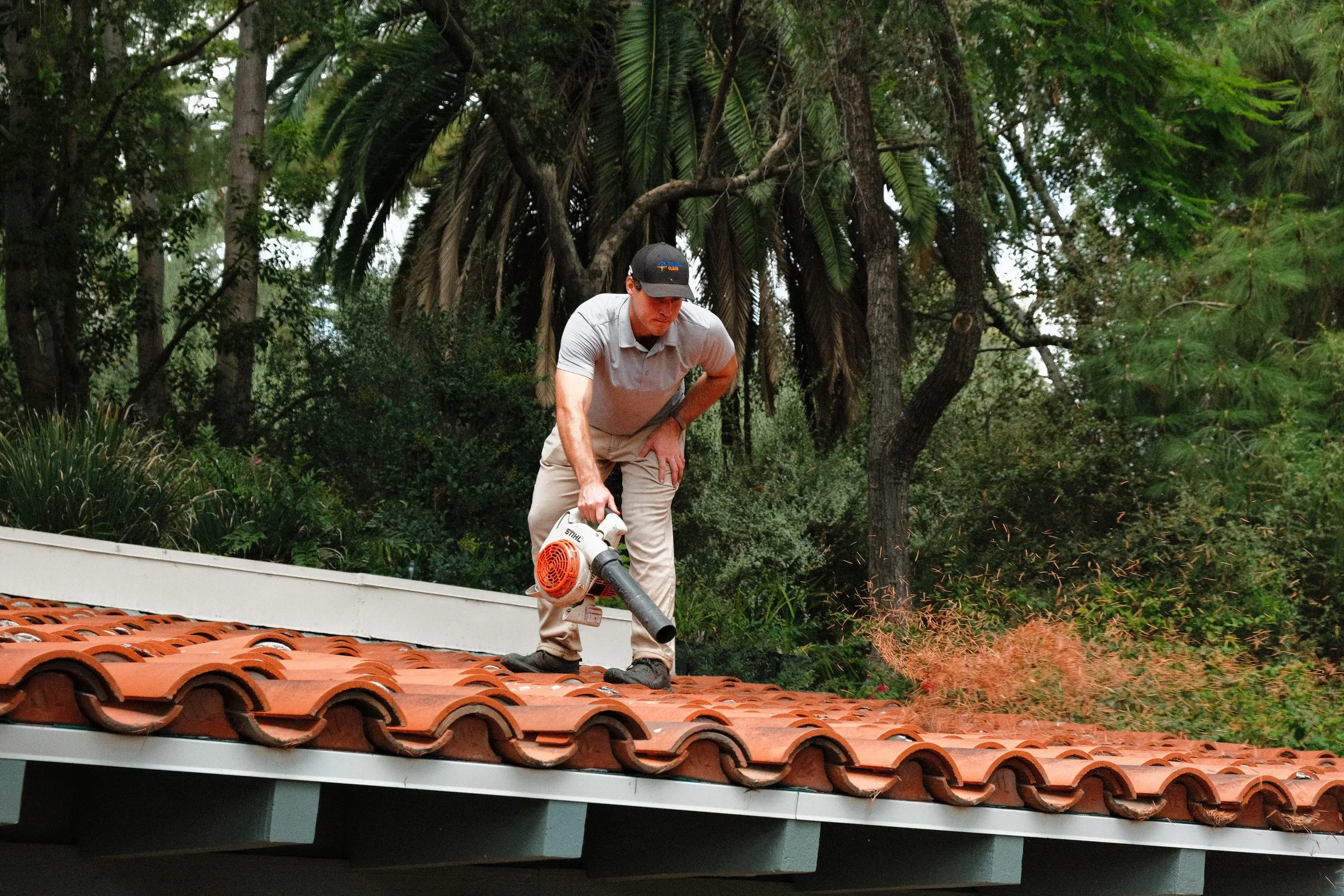 A cloud of pine needles blasting off a tile roof as Elliot clears the gutter edge with a blower