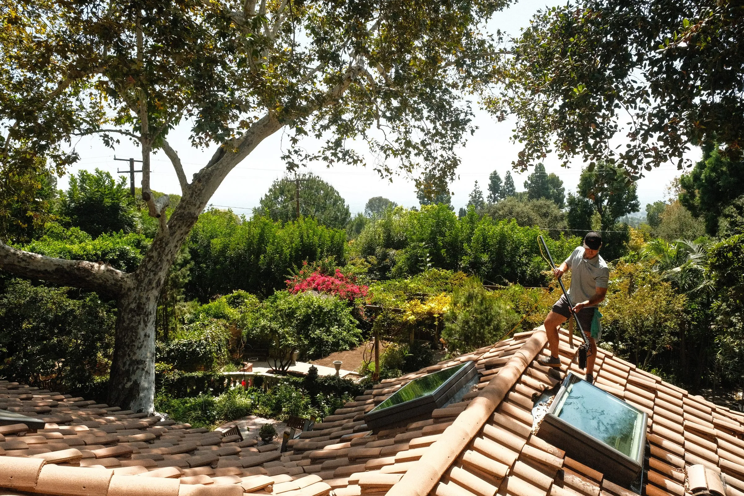 Elliot of Squeegee Clean Windows cleaning a skylight on a tile roof above a lush garden