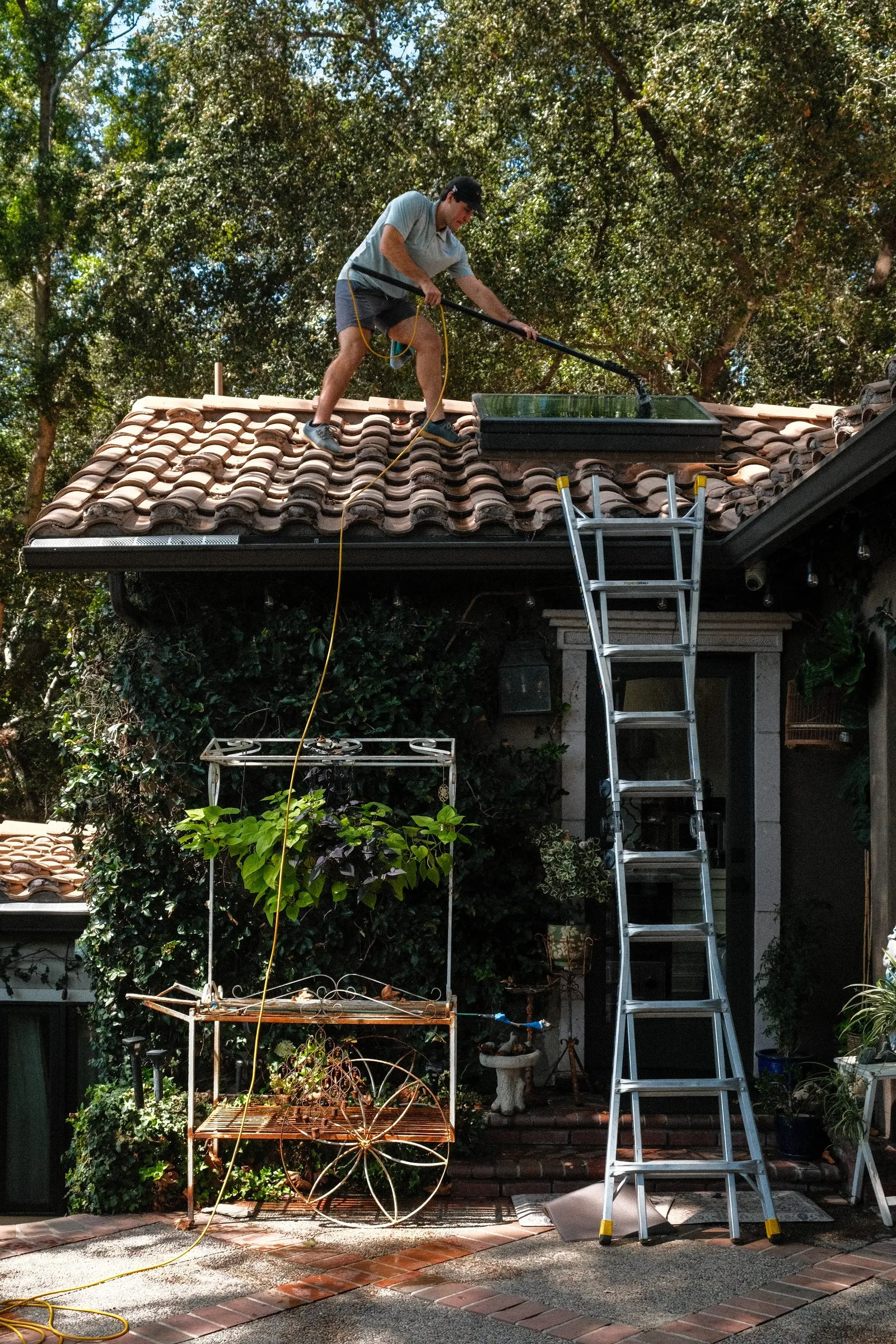 Extension ladder against an ivy-covered wall, Elliot on the tile roof cleaning a skylight