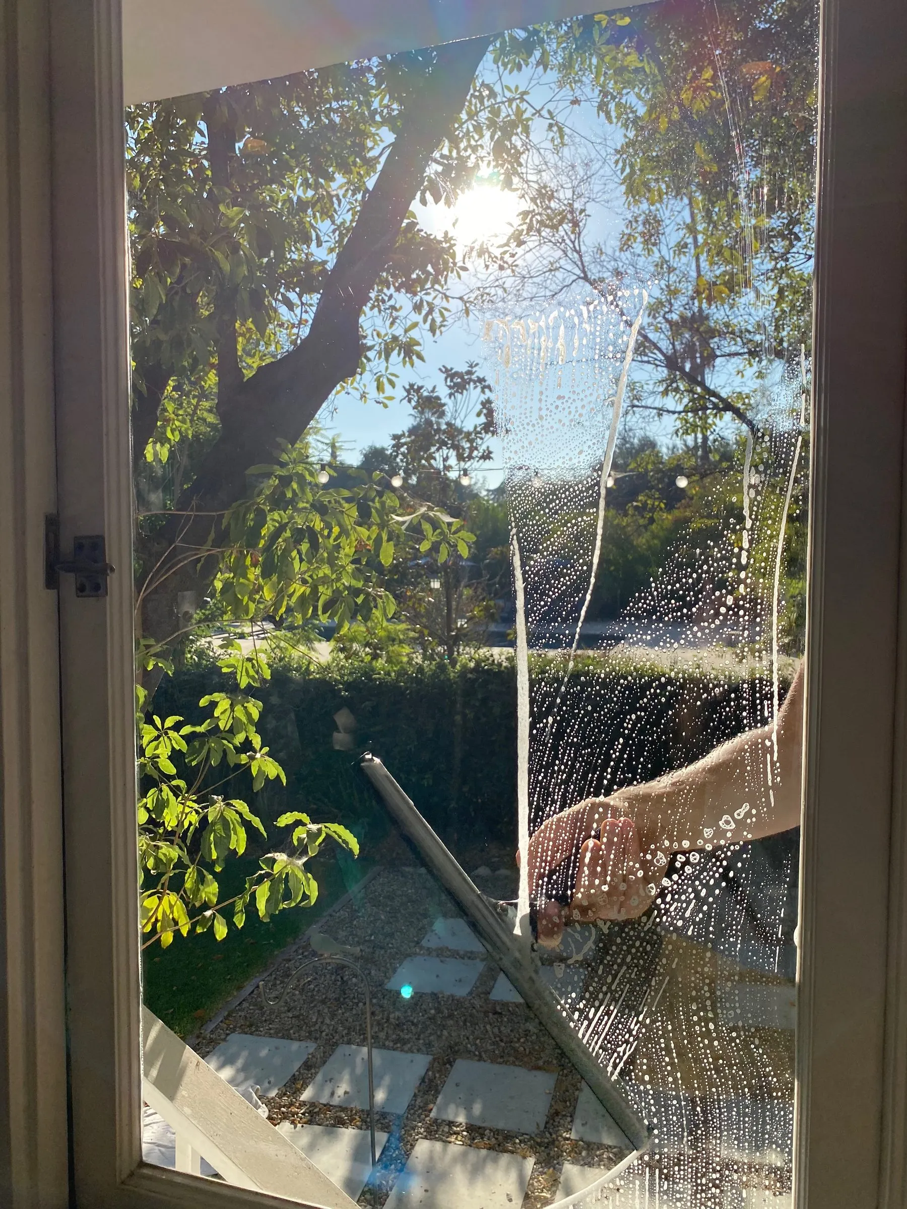 Squeegee mid-stroke on a French door pane, afternoon sun through the trees outside