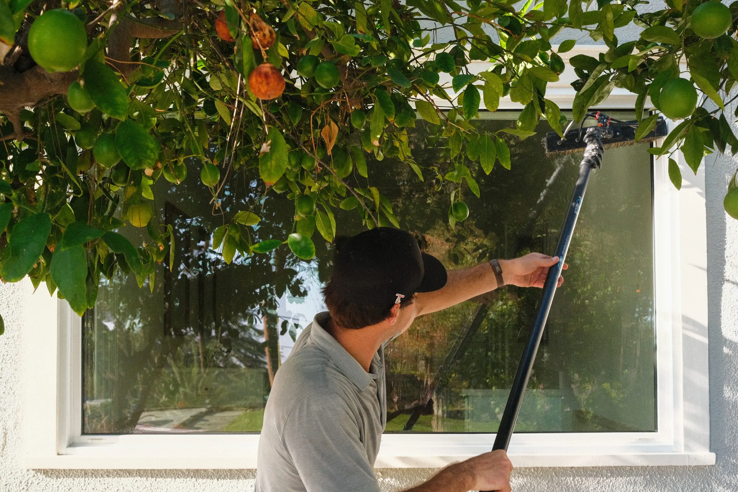 Water-fed brush on a large window with citrus fruit in the foreground